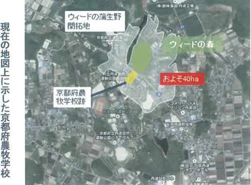 ウィードの森って?